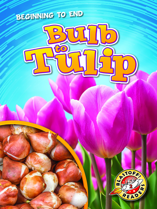 Title details for Bulb to Tulip by Rachel Grack - Available